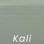 Kali +30.5%