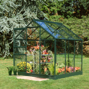 6x6 Pop Green House