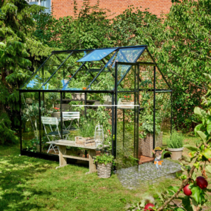 6x8 Qube Black Greenhouse