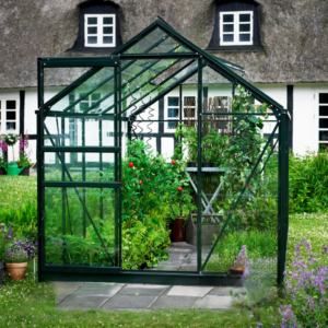 8x6 Pop Green House
